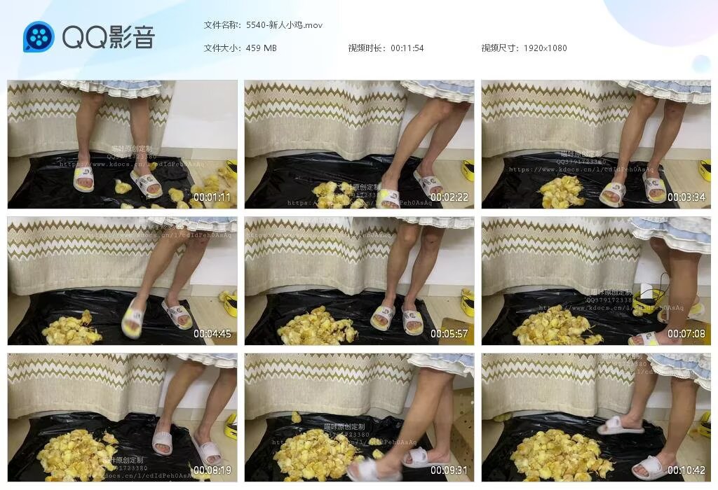 5540-新人小鸡2