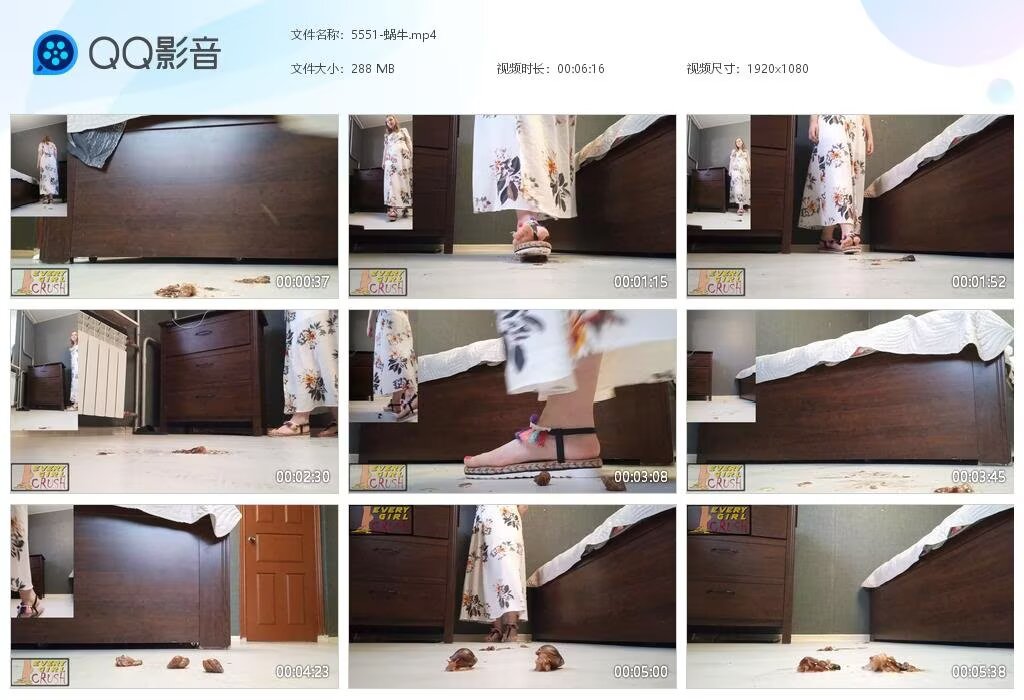 5551-蜗牛20240