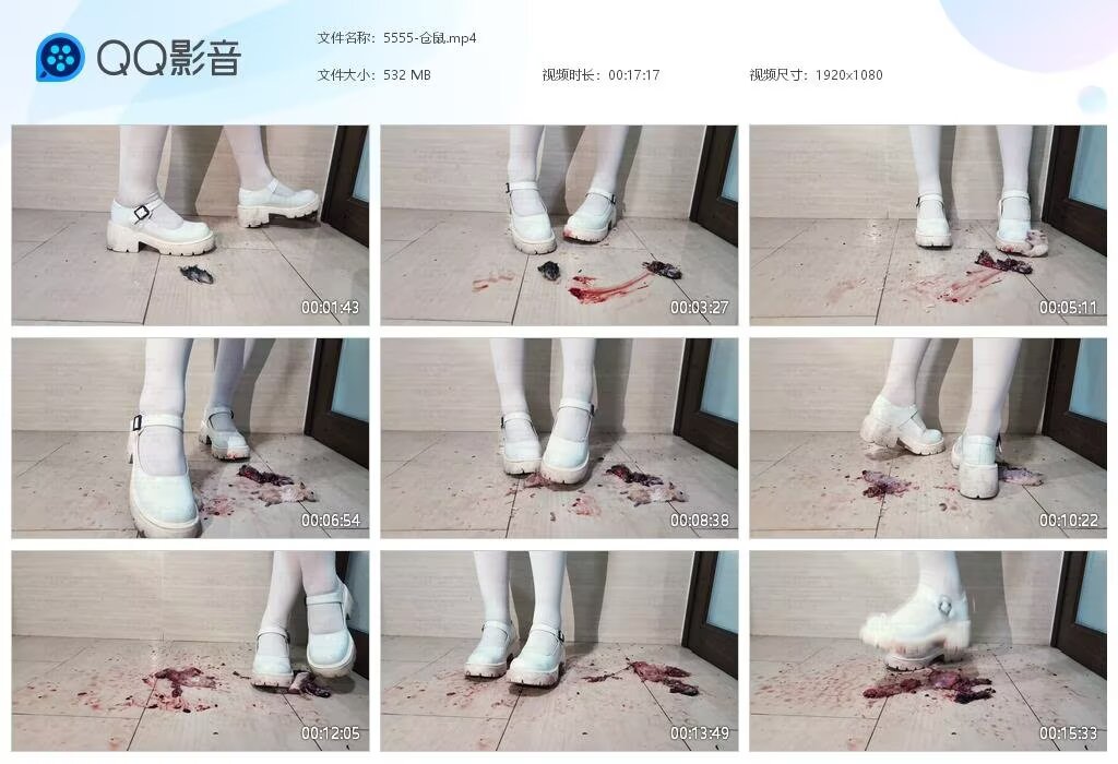 5555-仓鼠20260