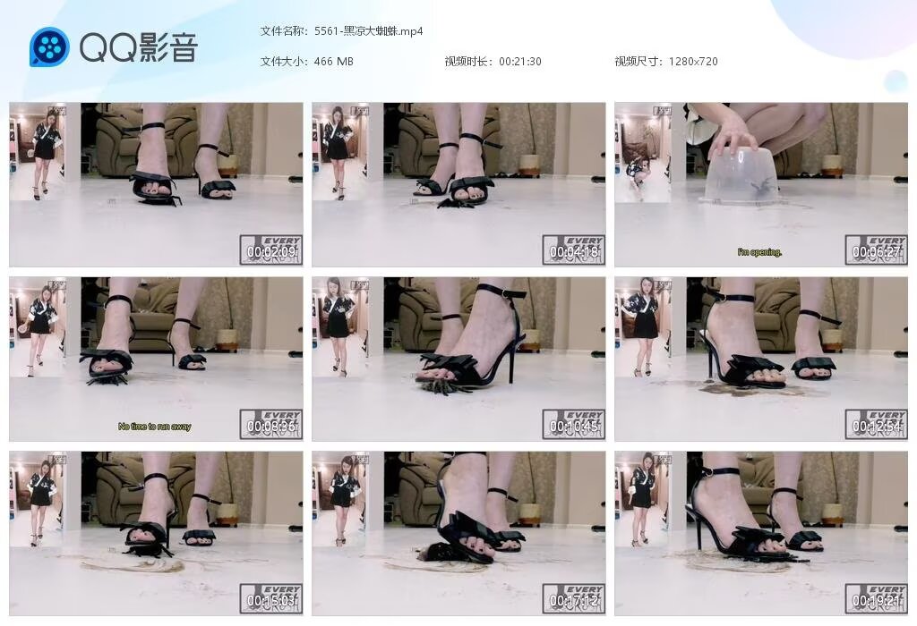 5561-黑凉大蜘蛛
