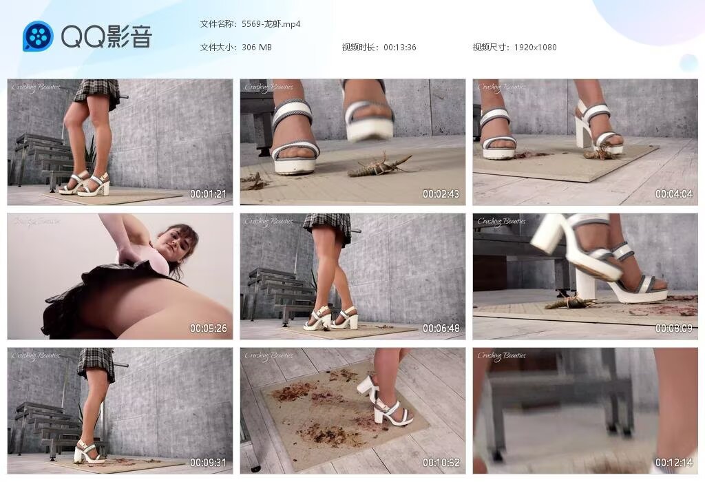 5569-龙虾20241