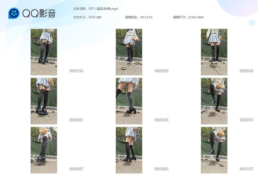 5571-南瓜汤6龟