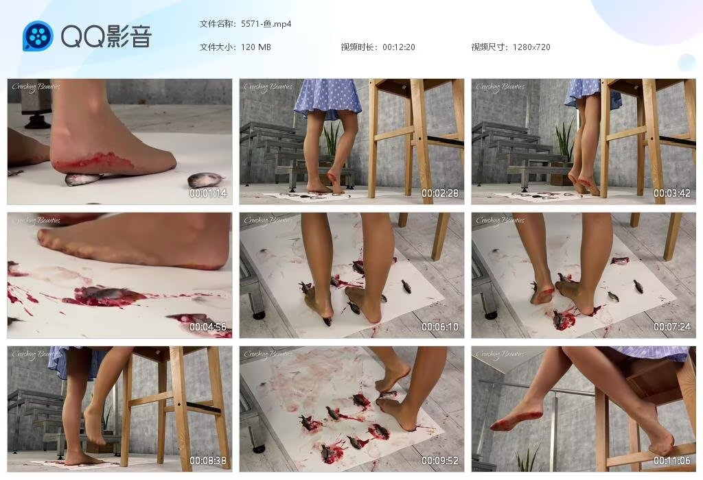 5571-鱼2024101