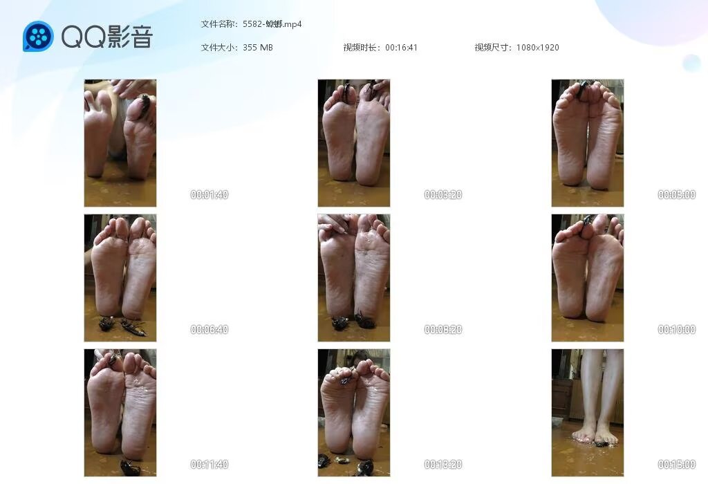 5582-蟑螂20241