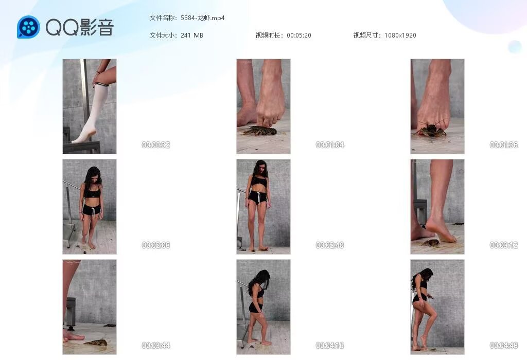 5584-龙虾20241