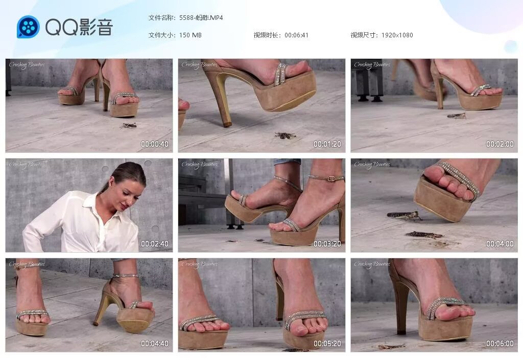 5588-蚂蚱20241