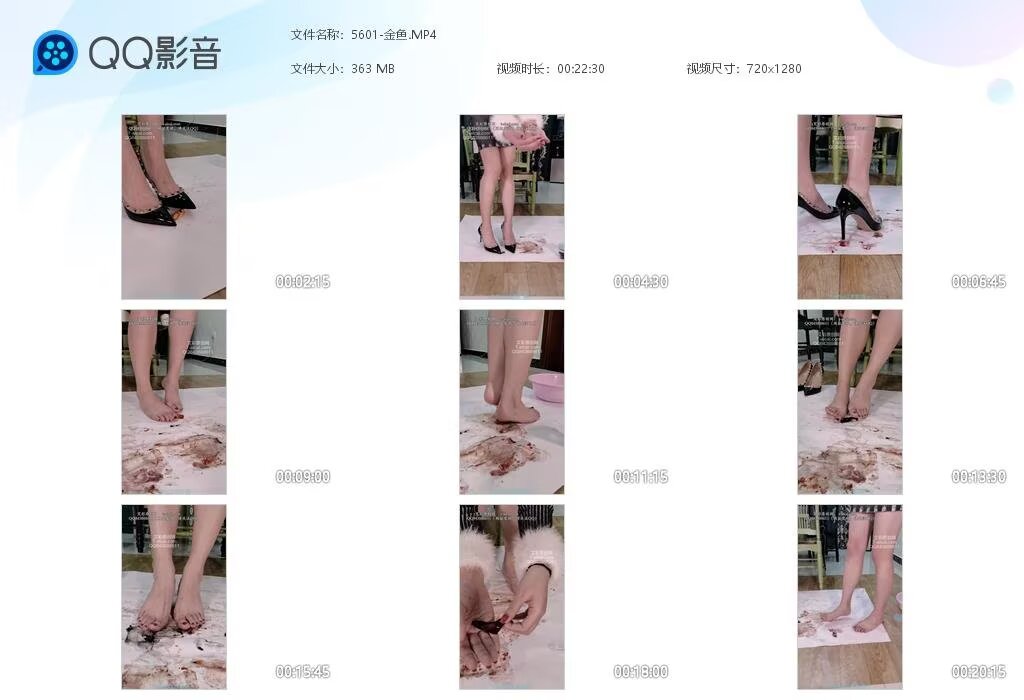 5601-金鱼20260