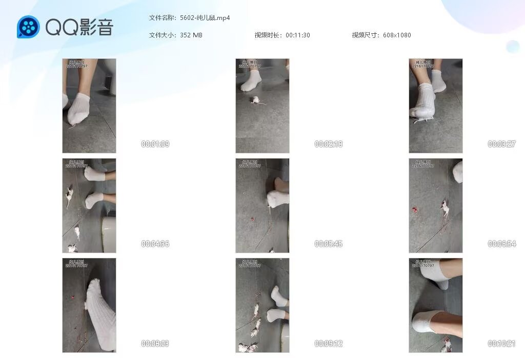 5602-纯儿鼠202