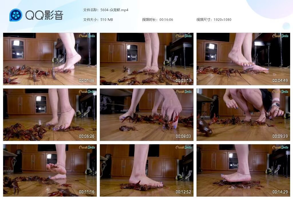 5604-众龙虾202