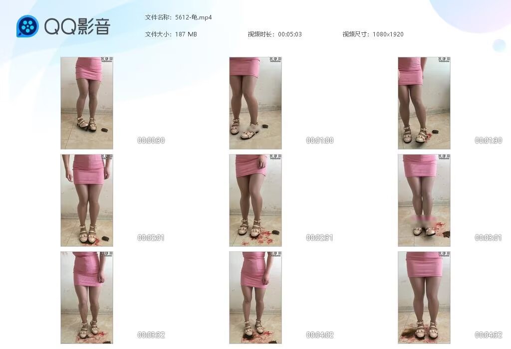 5612-龟2026031