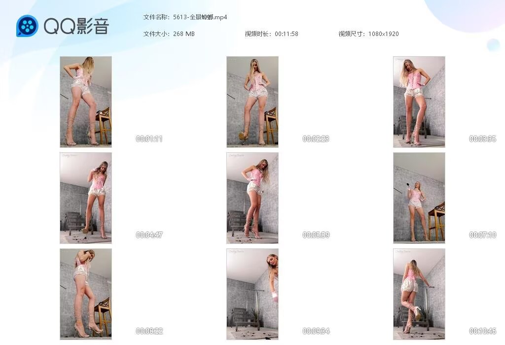 5613-全景蟑螂2
