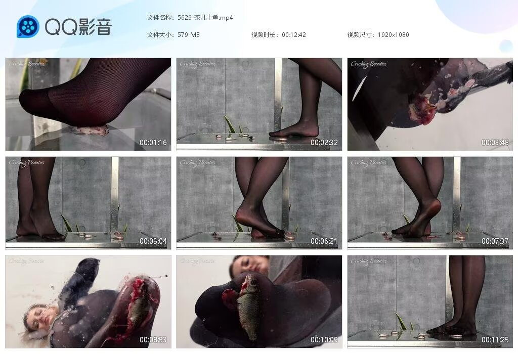 5626-茶几上鱼2