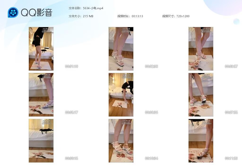 5634-小龟20260