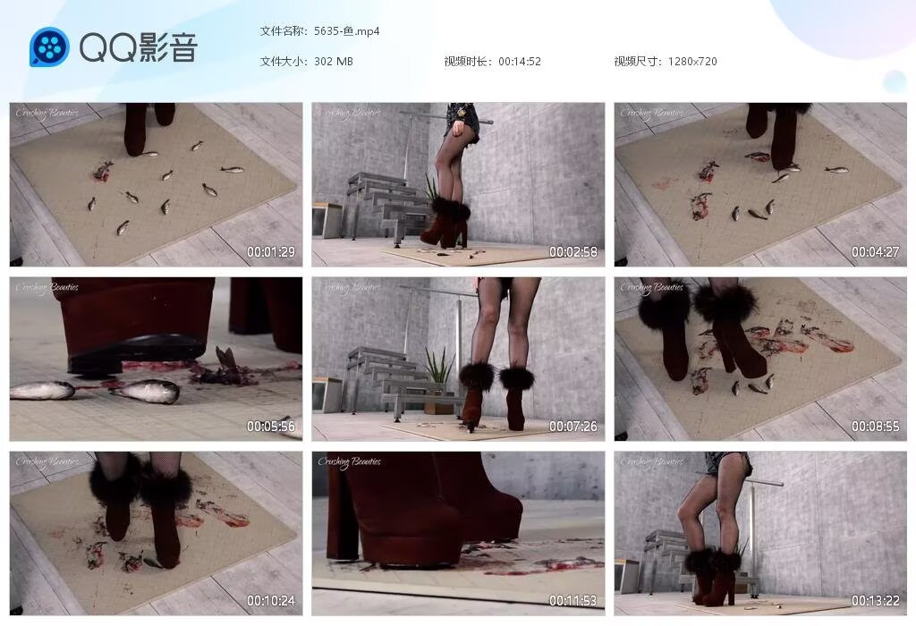 5635-鱼2025040