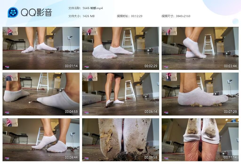 5648-蟑螂20250