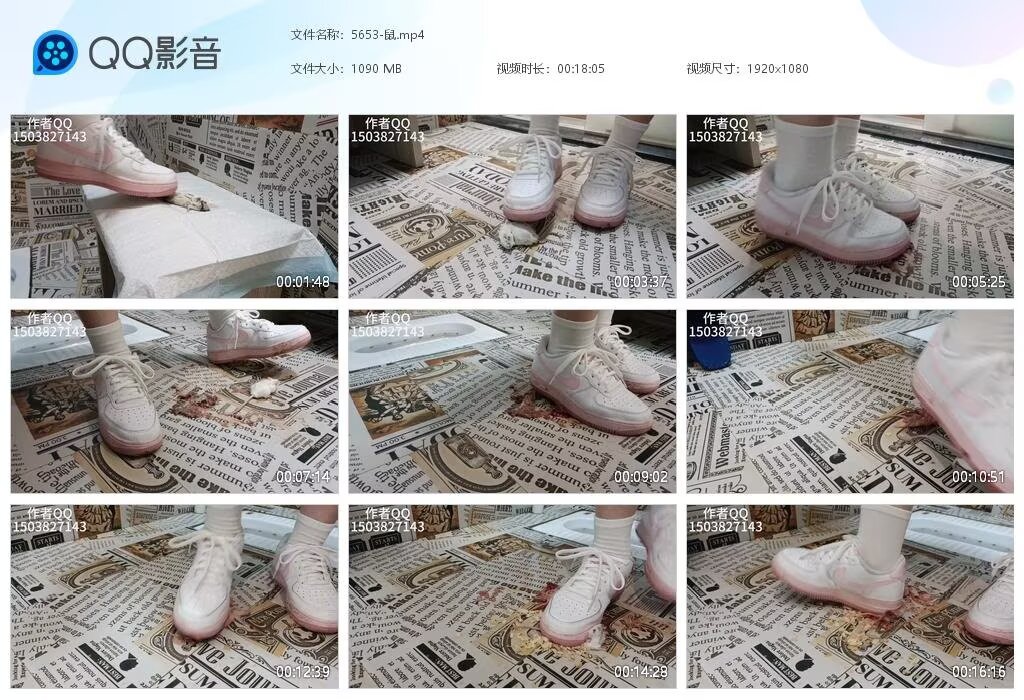 5653-鼠2026032