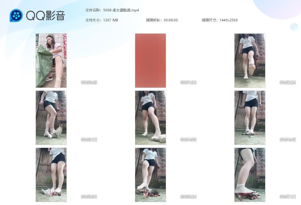 5698-美女露脸鸽