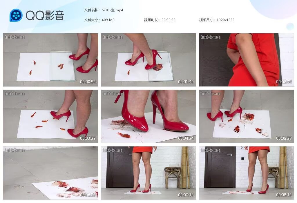 5701-鱼2025091