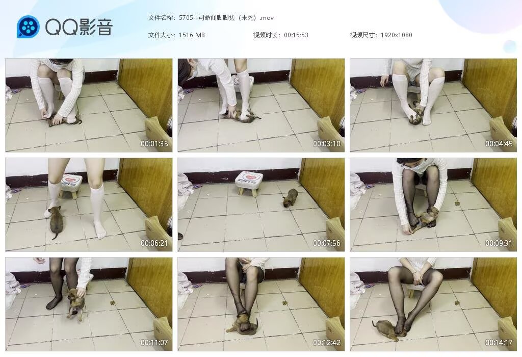 5705--司命闻脚脚搓