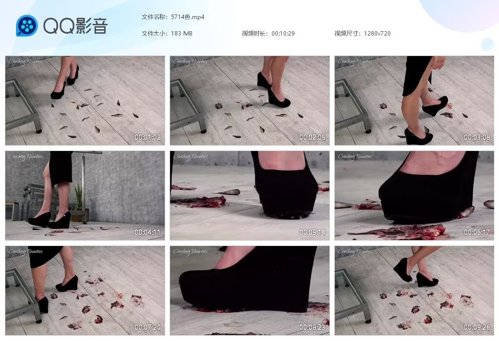 5714鱼20251214
