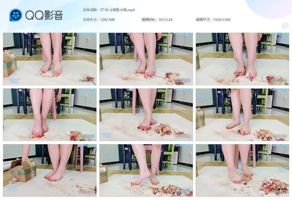 5718-小夜坠小鸡