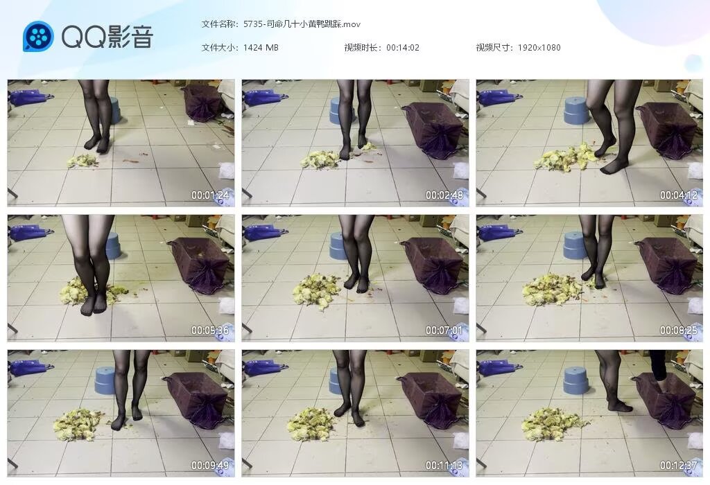 5735-司命几十小