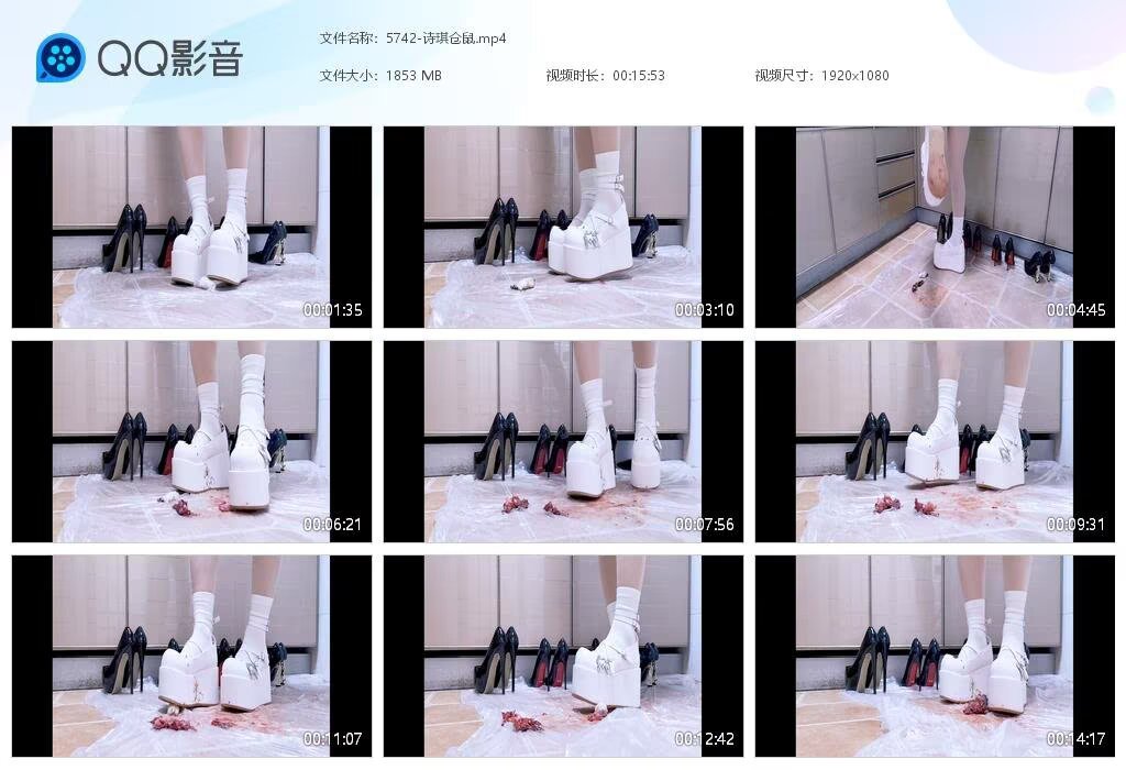 5742-诗琪仓鼠2