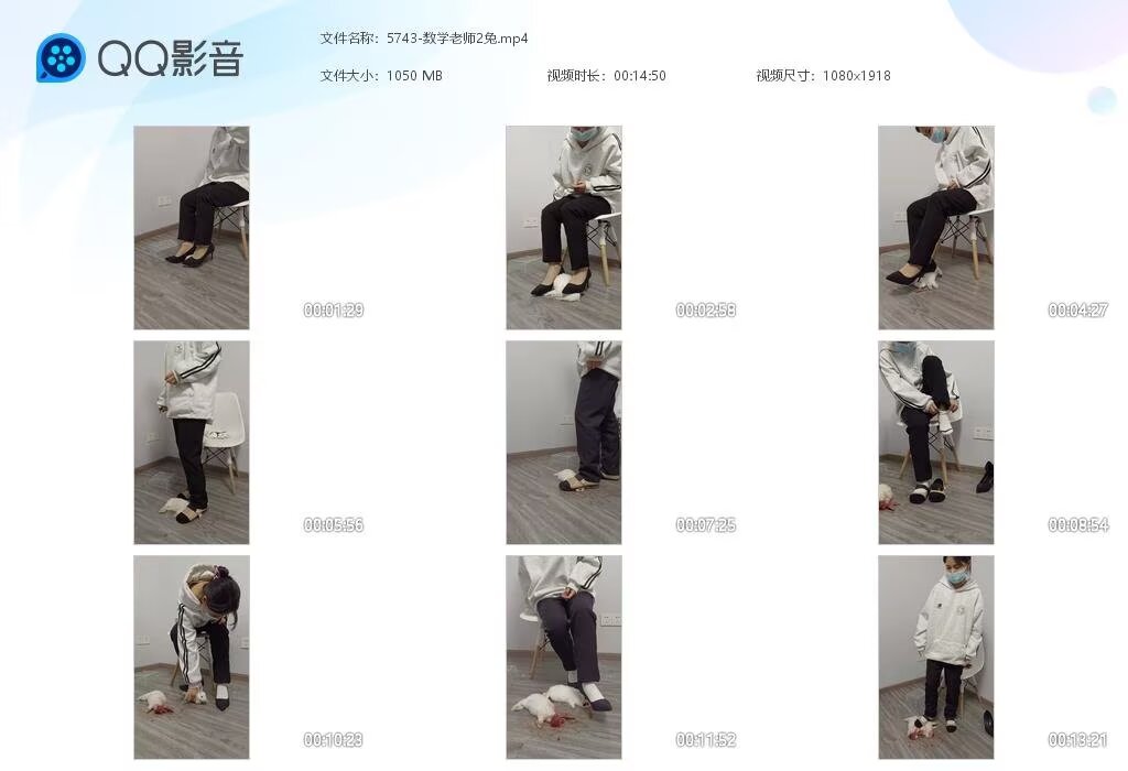5743-数学老师2兔