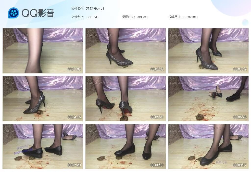 5753-龟2026060