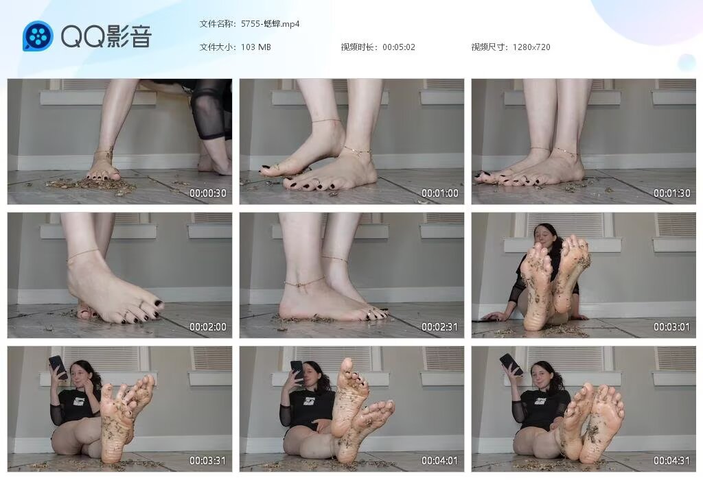 5755-蟋蟀20260