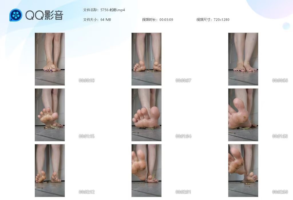 5756-蚂蚱20260