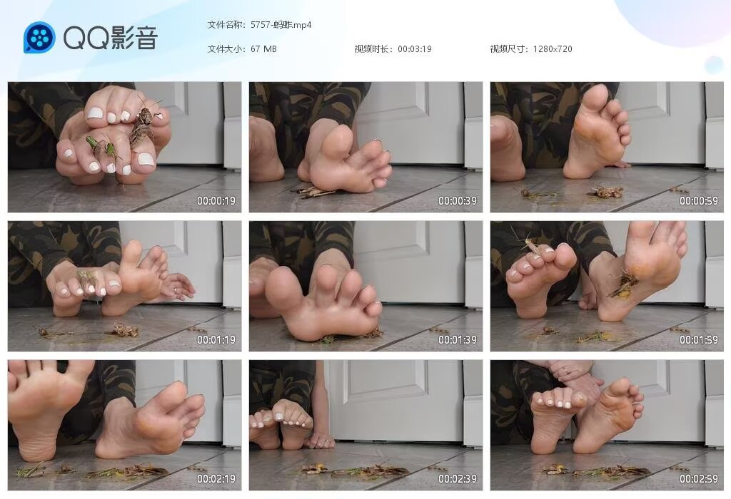 5757-蚂蚱20260