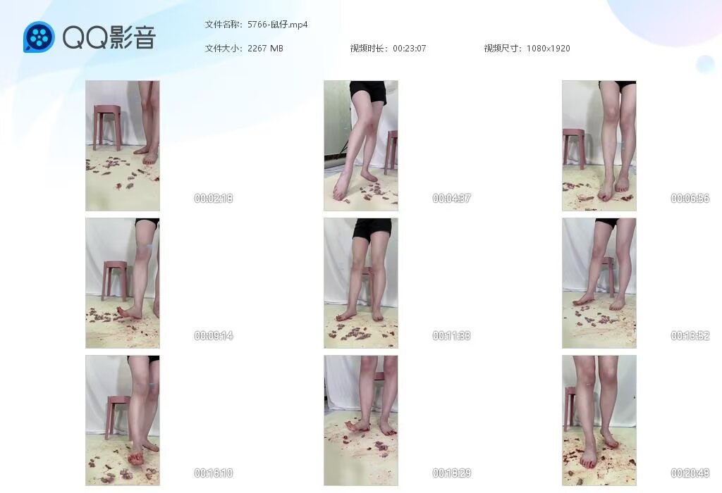 5766-鼠仔20260